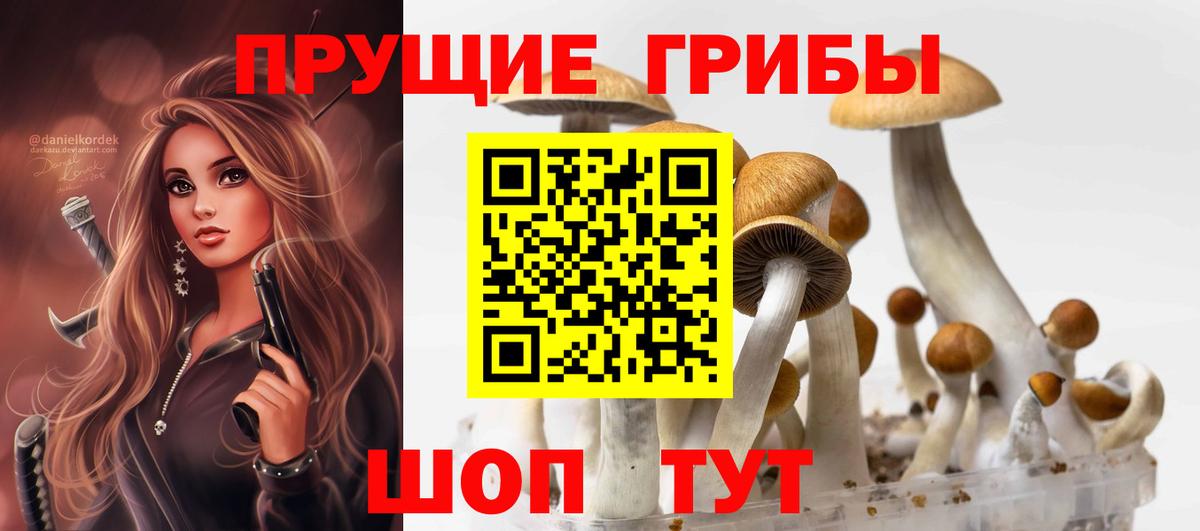 Набережные Челны  Псилоцибиновые грибы мухоморы  Вход с VPN 